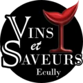 logo vins et saveurs